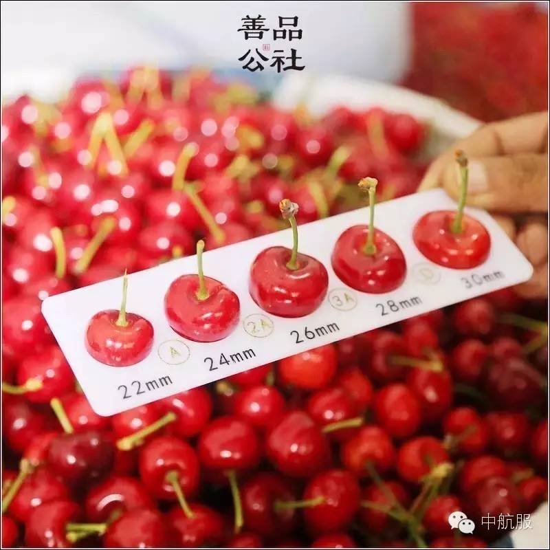 888腾博会官网-诚信为本,专业服务